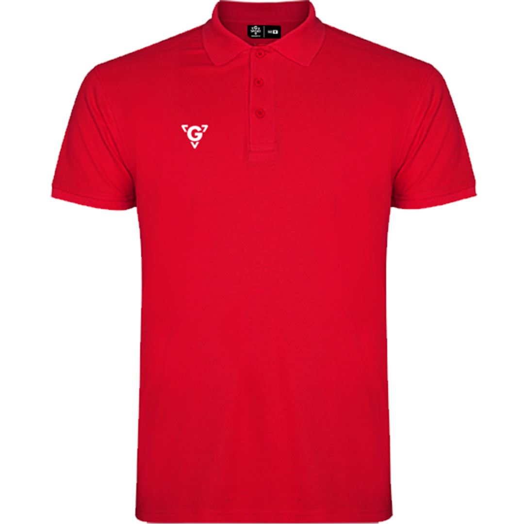 Polo Starsport - Image 9